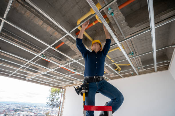 Best 24-Hour Plumber Near Me  in Tierra Verde, FL