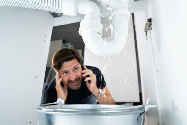  Tierra Verde, FL Plumbing Pros