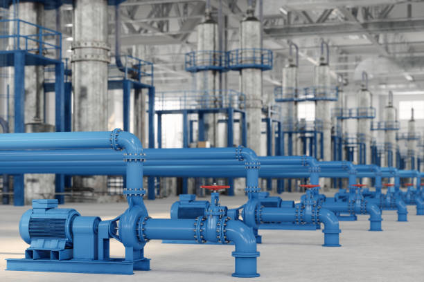Best Leak Detection Services  in Tierra Verde, FL