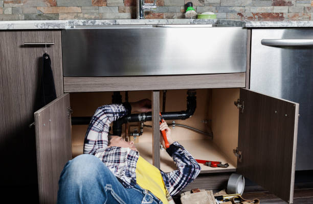 Best Local Plumber Services  in Tierra Verde, FL